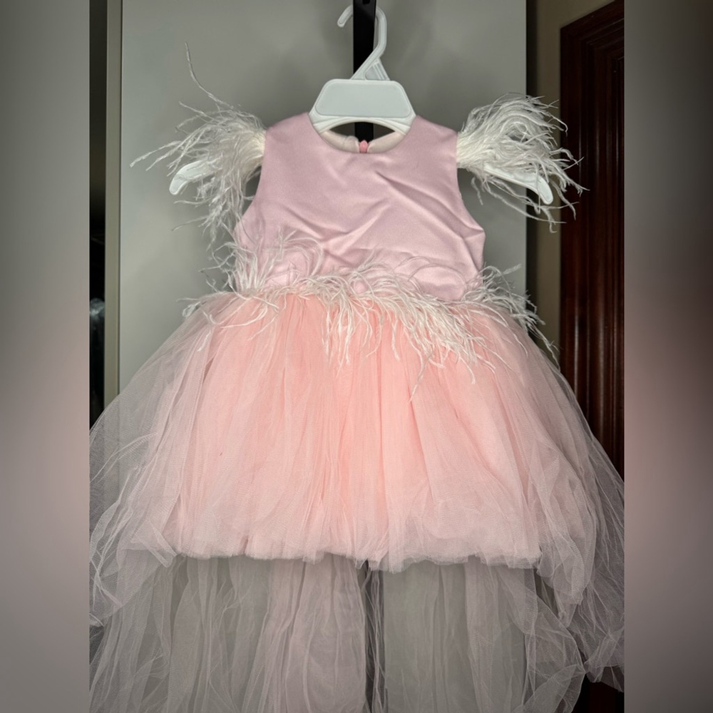 Pink Handmade Dress with feather accents